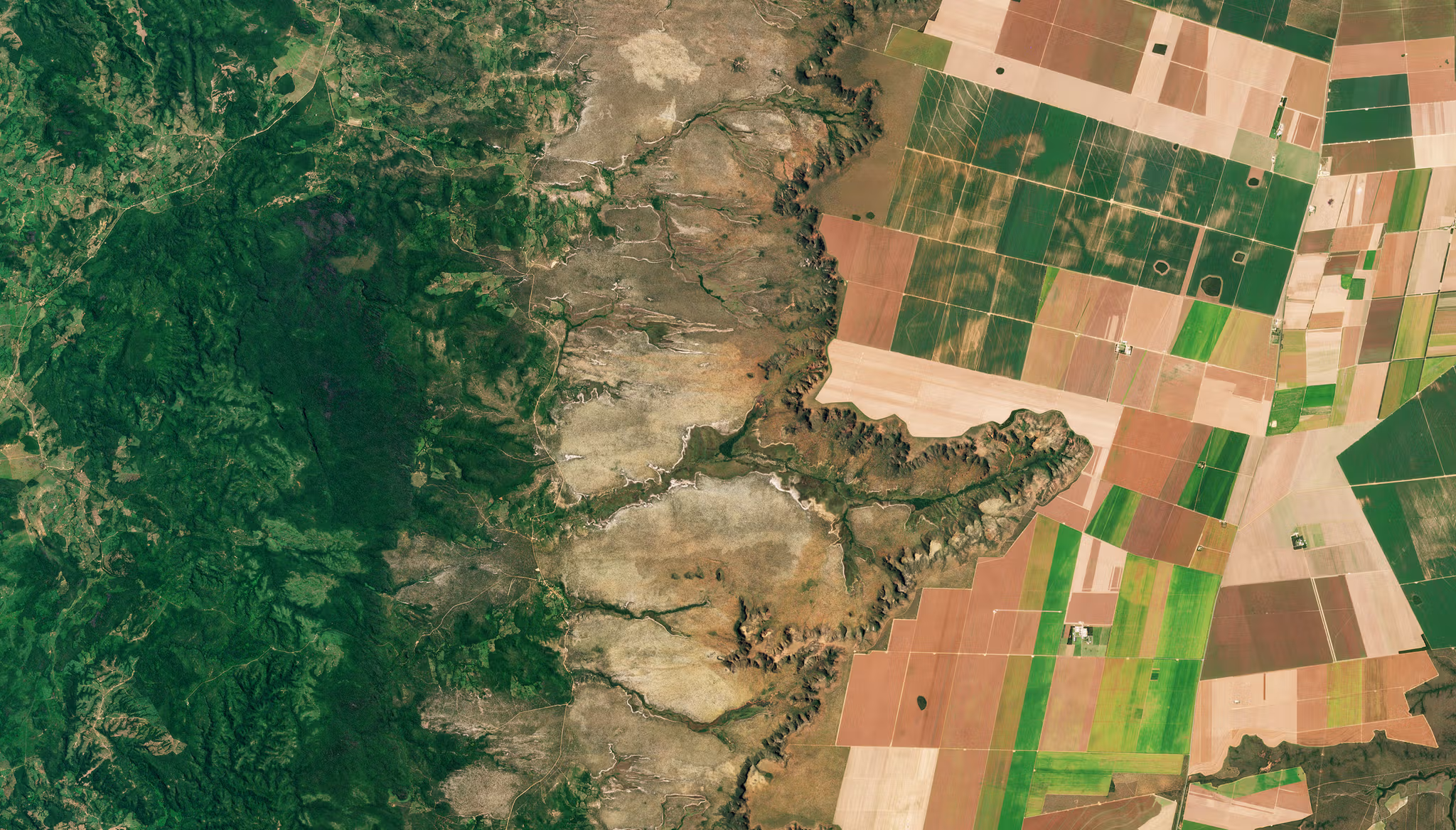 Satellite image from the Predicting Deforestation project